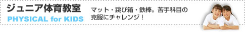 �W���j�A�̈狳��