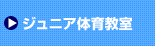 �W���j�A�̈狳��