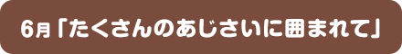6月「たくさんのあじさいに囲まれて」