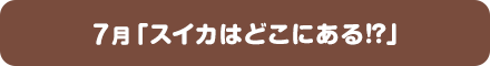 7月「スイカはどこにある！？」