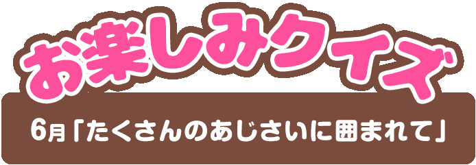 【お楽しみクイズ】6月「たくさんのあじさいに囲まれて」