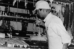 1978年　全国で初めて臭素酸カリウム（パン生地改良剤）抜きの食パンを開発