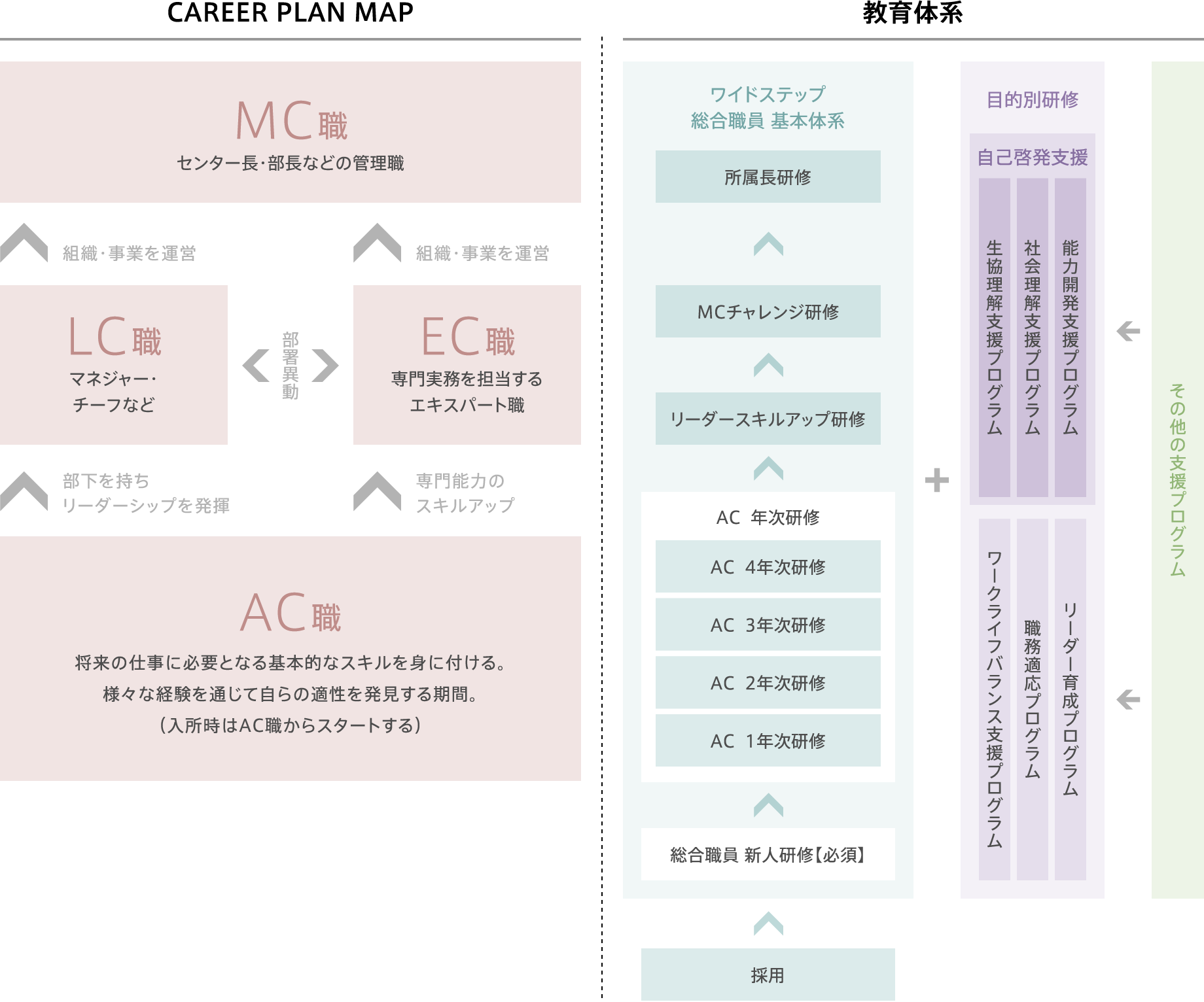 CARRIER PLAN MAP　教育体系