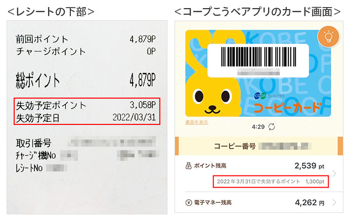 失効ポイントの表示場所