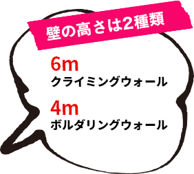 壁の高さは2種類/6m クライミングウォール/4m ボルダリングウォール